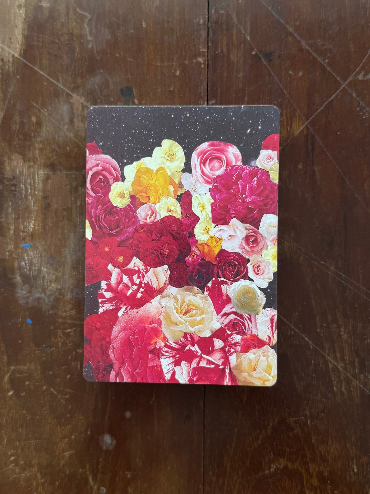 The Lioness Oracle Tarot